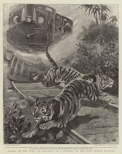 Tigre on the Line, en hændelse i en rejse på den østindiske jernbane af John Charlton