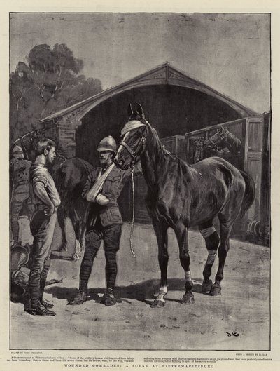 Sårede kammerater, en scene i Pietermaritzburg af John Charlton