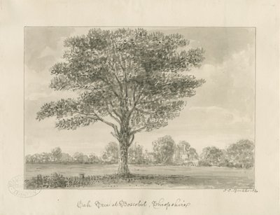 Boscobel - The Royal Oak: sepia drawing, 1820dani af John Chessell Buckler