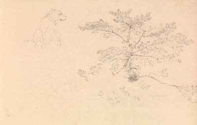 Studie af en hund med halsbånd og af trægrene af John Christian Schetky