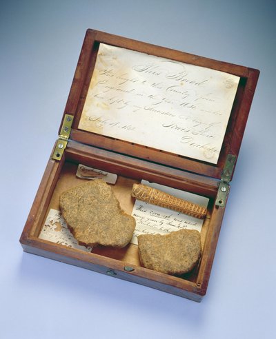 Relikvieæske, fra Dorchester, Massachusetts, 1835 (mahogni og birk) af John Clapp