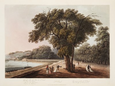 St Cloud, The Great Walk of St Cloud, The Bridge of Sevres, etc. etc., illustration fra Versailles, Paris og Saint Denis, pub. 1805 (akvatint) af John Claude Nattes