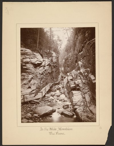 I de hvide bjerge/The Flume af John Coates Browne