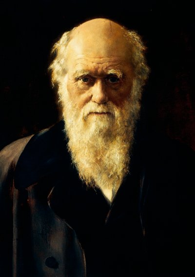 Portræt af Charles Darwin af John Collier