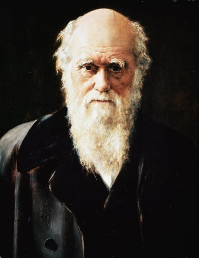 Portræt af den engelske naturforsker Charles Darwin, detalje (olie på lærred af John Collier