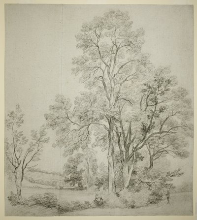En bevoksning af elmetræer (recto); Et studie af Østre Bergholt med kirken (verso) af John Constable