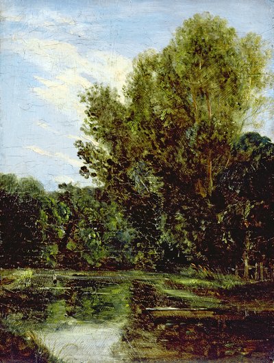 Hjørne af Hampstead Ponds (olie om bord) af John Constable