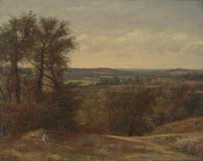 Dadham Wale af John Constable
