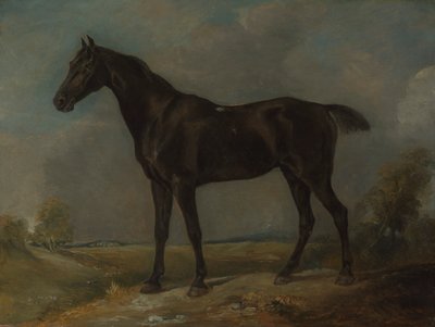 Golding Constables sorte ridehest af John Constable