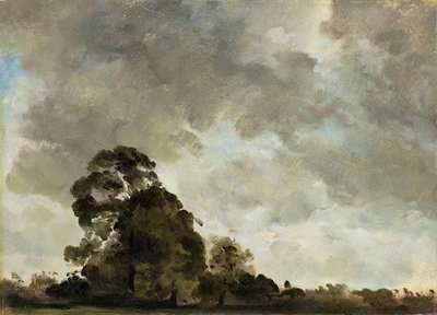 Landskab ved Hampstead, Tree and Storm Clouds, ca. 1821 (olie på papir fastgjort på panel) af John Constable