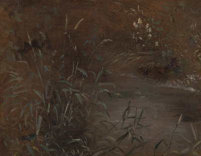 Skynder ved en pool af John Constable