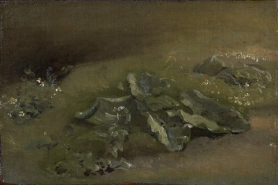 Studie af en burre, ca. 1810-14 eller ca. 1828 af John Constable