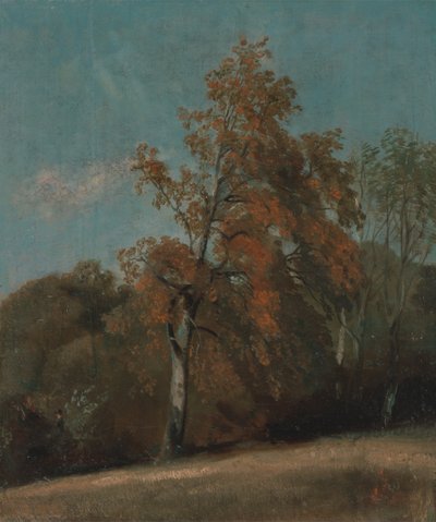 Studie af et asketræ af John Constable