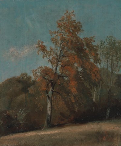 Studie af et asketræ mellem 1801 og 1803 eller mellem 1810 og 1830. af John Constable