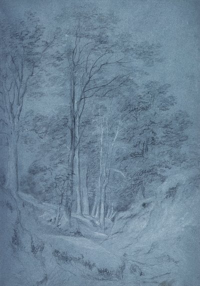 Studie af aske og andre træer (blyant på papir, forhøjet med hvidt kridt) af John Constable