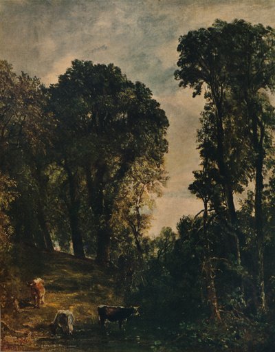 Træer nær Hampstead Church, 1829, c1915 af John Constable