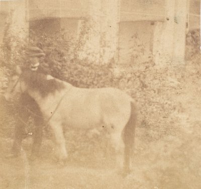 [Mand og Hest, Regeringshuset, Allahabad], 1858. af John Constantine Stanley