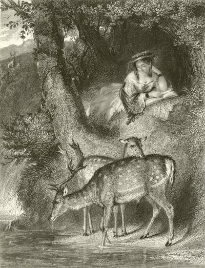 Bjerg ensomhed af John Corbould