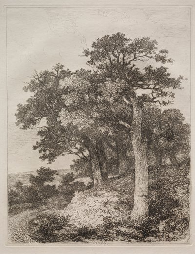 Hos Colney. af John Crome