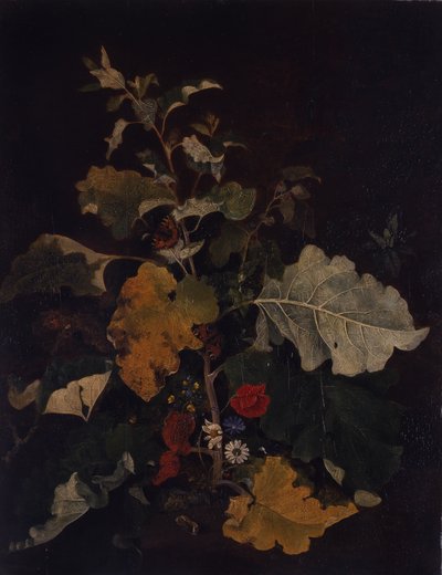 Studie af en burre af John Crome