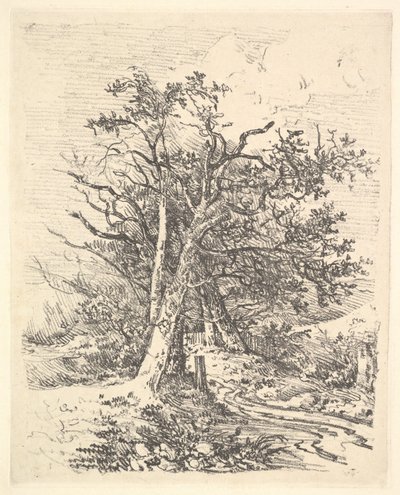 Træstammer og bane, 1811-13. af John Crome