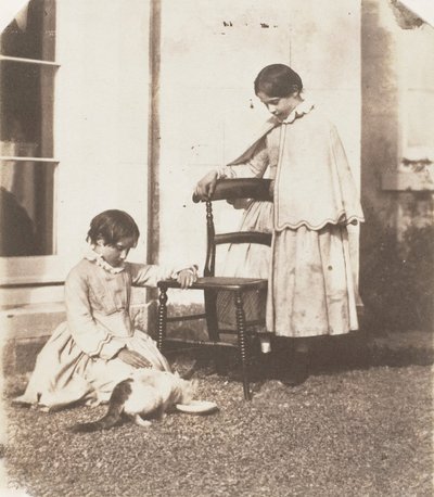 Foder stakkels pus, 1853-56. af John Dillwyn Llewelyn