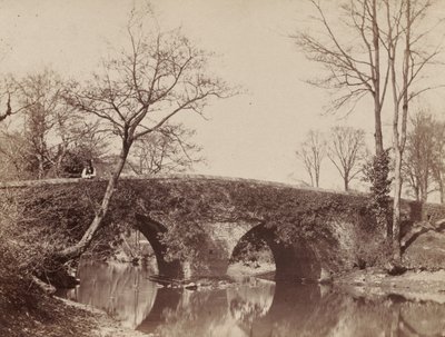 The Country Bridge Staplylton Bridge, Bristol, ca. 1854-1857. af John Dillwyn Llewelyn