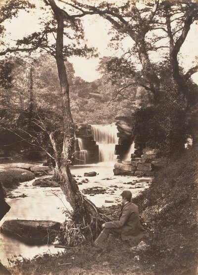 Det øvre fald, 1853-56. af John Dillwyn Llewelyn