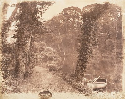 Øvre Sø, 1853-56. af John Dillwyn Llewelyn