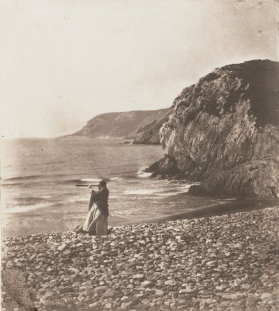 Vinde & Bølger, 1853-56. af John Dillwyn Llewelyn