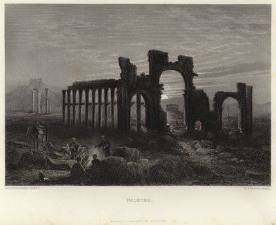 Palmyra af John Douglas Woodward