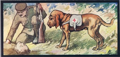 Ambuland bloodhound, illustration fra 