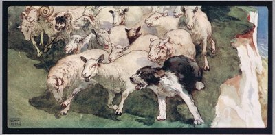 Bobtail fårehund og flok på klipper, illustration fra 