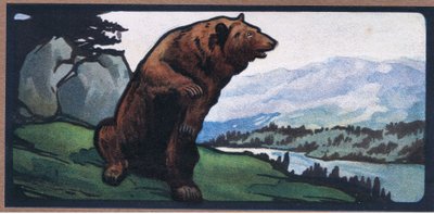Brun bjørn af John Edwin Noble