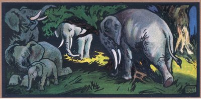 Elefant i naturen af John Edwin Noble