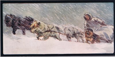 Huskies trækker en slæde, illustration fra 