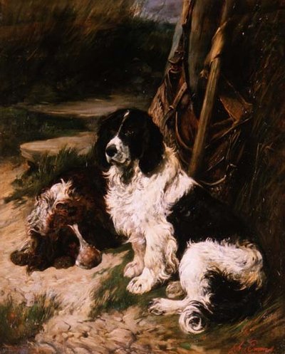 Brun og hvid og sort og hvid spaniel af John Emms