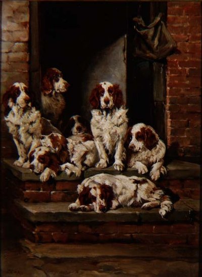 Spaniels i massevis af John Emms