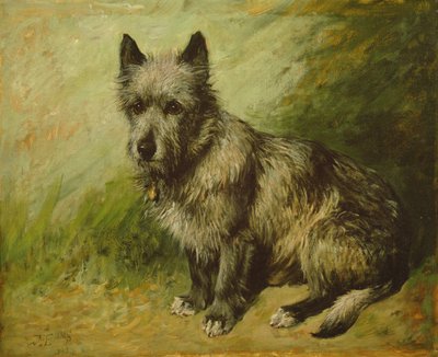 Lattere af John Emms