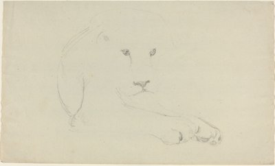 Løve af John Flaxman