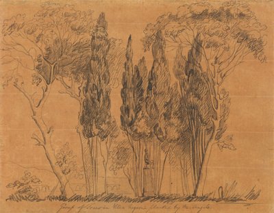 Træer i Villa Negroni Plantet af M. Angelo af John Flaxman