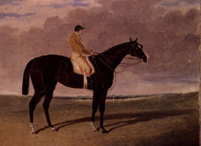 Queen of Trumps, en bay væddeløbshest med jockey af John Frederick Herring Jnr