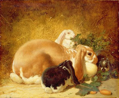 Kaniner, 1852 af John Frederick Herring Junior