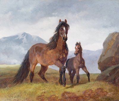 En walisisk bjerghoppe og føl, 1854 (panel) af John Frederick Herring Senior