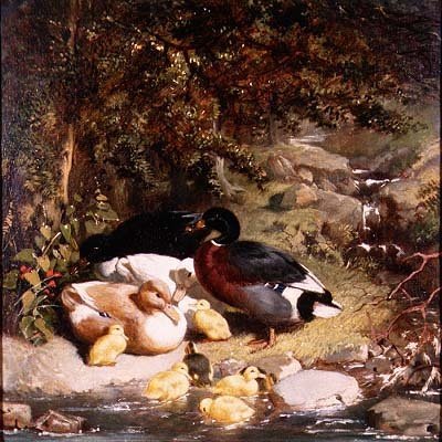 Ænder og Ællinger af John Frederick Herring Senior