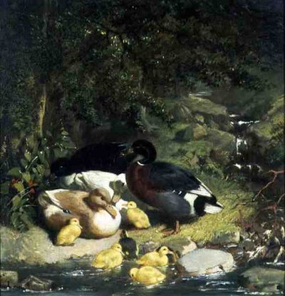 Ænder og Ællinger af John Frederick Herring Senior