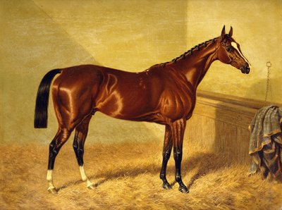 Orlando, en Bay Racehorse in a Loosebox, 1845 af John Frederick Herring Senior