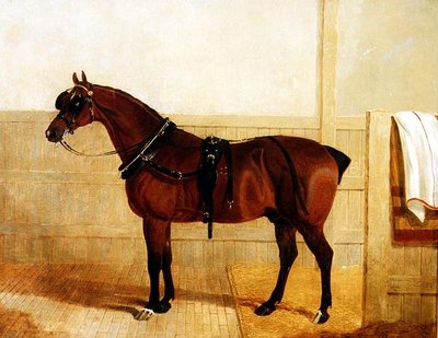 Præmie Shire Hest i Sele af John Frederick Herring Senior