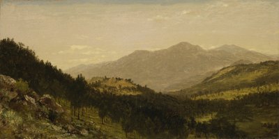 Bergen Park (Colorado) af John Frederick Kensett