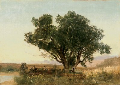 The Front Range, Colorado af John Frederick Kensett